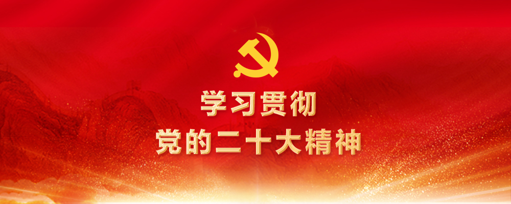 学习贯彻党的二十大精神