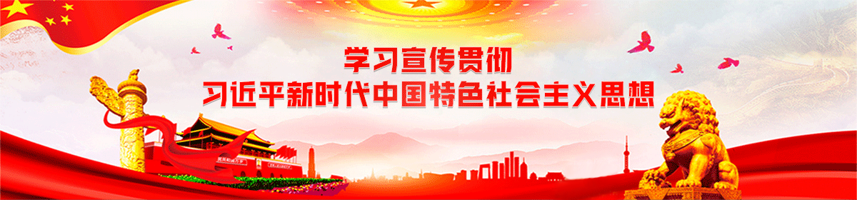 学习宣传贯彻习近平新时代中国特色社会主义思想